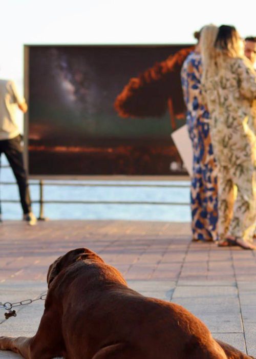 photo_2025-07-28_12-34-34