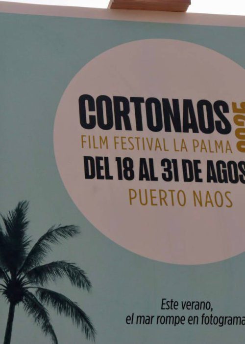 photo_2025-07-28_12-35-26